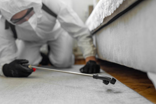 Professional Bed Bug Control technician working in Hillsborough County County, NH